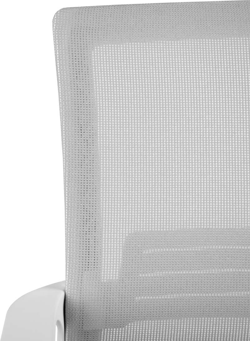 LINK WHITE